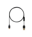 Pulsar USB-C Paracord Cable - Black